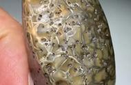 嘉吉滩的珍贵玛瑙：一块筋脉石的魅力