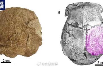 北京新出土古人类顶骨化石，揭示史前文明之谜