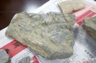 济南10岁男孩龙洞探险，意外发现古生物化石