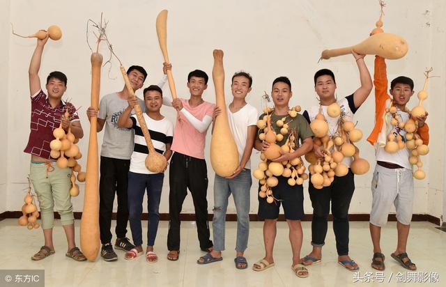八个“葫芦娃” 返乡创业忙，种植文玩葫芦，畅销全国
