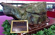 来自西藏的2米高、5米长、重达12吨的石头，其价值令人震惊！