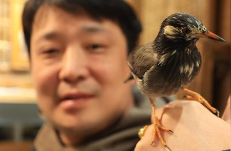 济南核雕传承人：四年救助百鸟，被誉为“鸟叔”的传奇故事